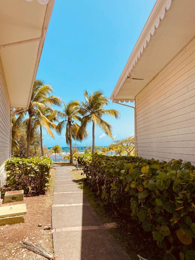 Tucum Home - Appart Au Village Vacances Sainte Anne מראה חיצוני תמונה